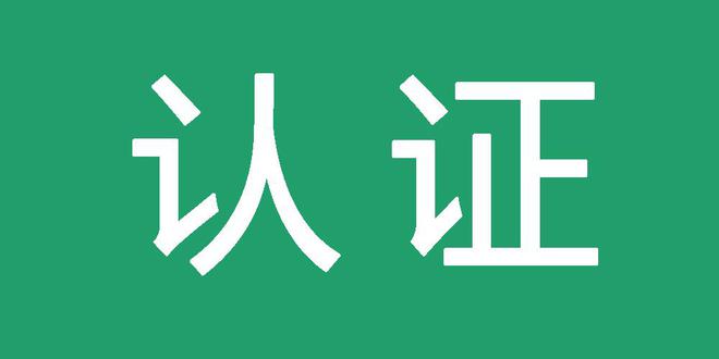 泛目录属于站群吗